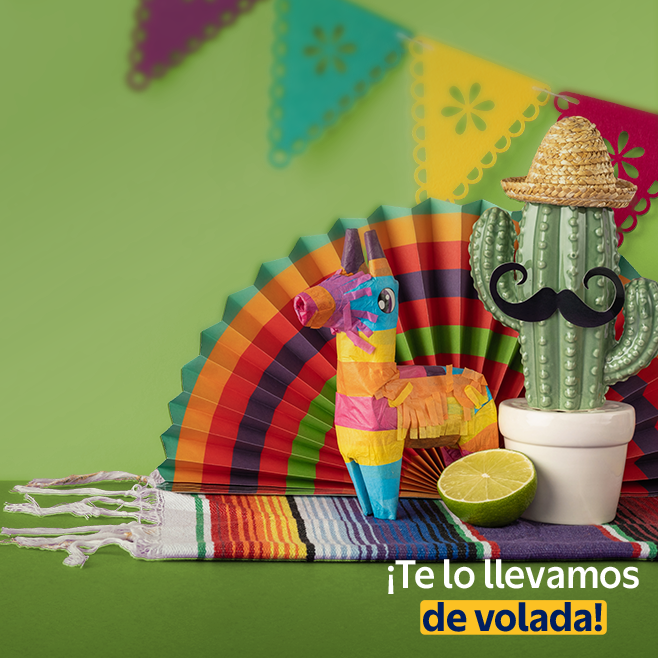 Adornos que dan color
