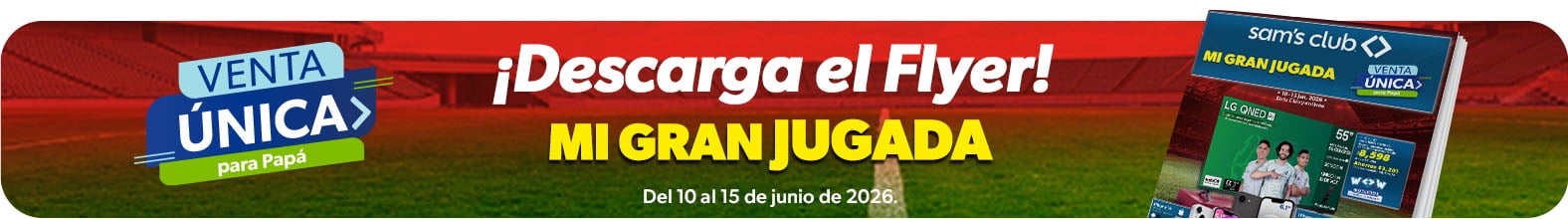 sknnyD-EntradaDescarga-FlyerVU-260610-1576x220