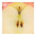 thumbnail image 3 of Manzana envy por kilo, 3 of 4