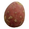 thumbnail image 2 of Xoconostle por kilo, 2 of 4