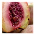 thumbnail image 3 of Xoconostle por kilo, 3 of 4