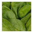 thumbnail image 3 of Espinaca baby orgánica Earthbound Farm 142 g, 3 of 4