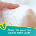 thumbnail image 2 of Pañales Pampers Swaddlers etapa 3 unisex 26 pzas, 2 of 4