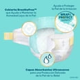 thumbnail image 2 of Pañales Pampers Swaddlers etapa 5 unisex 1 paquete con 19 pzas, 2 of 4