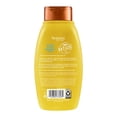thumbnail image 2 of Shampoo Aveeno sunflower oil blend reparador de daño 354 ml, 2 of 2