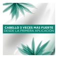 thumbnail image 4 of Shampoo L'Oréal Paris Ever strong hoja de romero 250 ml, 4 of 4