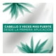 thumbnail image 4 of Shampoo L'Oréal Paris Ever strong hoja de romero 250 ml, 4 of 4