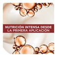 thumbnail image 4 of Shampoo L'Oréal Paris Ever creme deep nourish 250 ml, 4 of 4