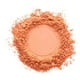 thumbnail image 4 of Polvo compacto L'Oréal Paris Infallible 24H fresh wear tono radiant honey 9 g, 4 of 4
