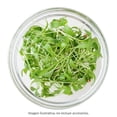 thumbnail image 3 of Tazón Anchor Hocking de Vidrio 946 ml, 3 of 4