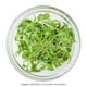 thumbnail image 3 of Tazón Anchor Hocking de Vidrio 946 ml, 3 of 4