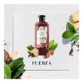 thumbnail image 2 of Shampoo Herbal Essences Bio:Renew Vitamin E & cocoa butter 400 ml, 2 of 4