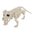 thumbnail image 1 of Esqueleto Perro Way to Celebrate Halloween, 1 of 4