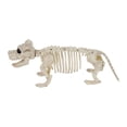 thumbnail image 3 of Esqueleto Perro Way to Celebrate Halloween, 3 of 4
