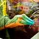 thumbnail image 2 of Dinosaurio Jurassic World Dino Escape Camp Cretaceous Ouranosaurus, 2 of 4