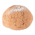 thumbnail image 4 of Concha premium por pieza, 4 of 4