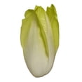 thumbnail image 3 of Endivias Fresh Garden 400 g, 3 of 4
