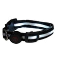 thumbnail image 2 of Collar para Perro Pets & More con Luz LED para Perro 1 pza, 2 of 4