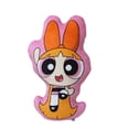 thumbnail image 1 of Almohada Chicas Superpoderosas Bombón 2D Plush, 1 of 2
