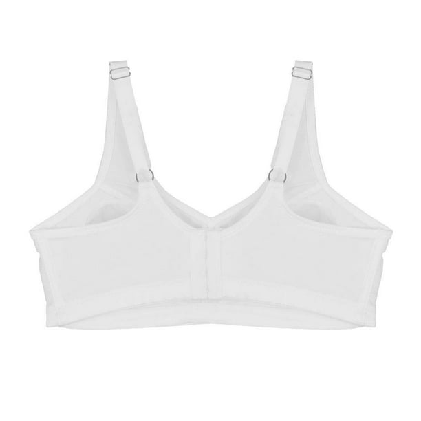 8590 Ligueros Vicky Form Precios MEDIAS CON LIGUERO W277