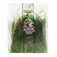 thumbnail image 1 of Germinado San Francisco Germipack de pasto de trigo 100 g, 1 of 4