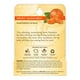 thumbnail image 3 of Bálsamo labial Burt's Bees Bees mandarina 4.25 g, 3 of 3