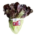 thumbnail image 1 of LECHUGA SANGRIA ORG 18´S, 1 of 4