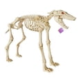 thumbnail image 2 of Esqueleto Animado Way to Celebrate Perro con Illuminación y Efectos de Sonido, 2 of 4