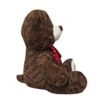 thumbnail image 2 of Peluche Oso Café Grande Way To Celebrate 320060C, 2 of 3