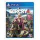 thumbnail image 1 of Far Cry 4 PlayStation 4 Físico, 1 of 4