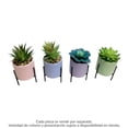 thumbnail image 1 of Planta Artificial Mainstays Suculenta con Maceta 1 Pieza, 1 of 4