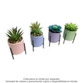 thumbnail image 3 of Planta Artificial Mainstays Suculenta con Maceta 1 Pieza, 3 of 4