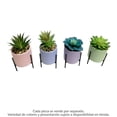 thumbnail image 4 of Planta Artificial Mainstays Suculenta con Maceta 1 Pieza, 4 of 4