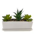 thumbnail image 1 of Suculentas Artificiales Mainstays con Maceta de Cerámica Blanca, 1 of 3
