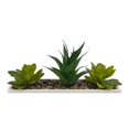 thumbnail image 3 of Suculentas Artificiales Mainstays con Maceta de Cerámica Blanca, 3 of 3