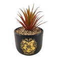 thumbnail image 3 of Maceta con Planta Artificial Harry Potter 12 x 12 cm Varios Colores 1 Pieza, 3 of 4