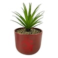 thumbnail image 4 of Maceta con Planta Artificial Harry Potter 12 x 12 cm Varios Colores 1 Pieza, 4 of 4