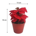 thumbnail image 2 of Maceta Prichos Nochebuena Artificial Roja, 2 of 3
