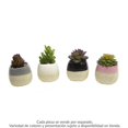 thumbnail image 1 of Planta Artificial Mainstays con Maceta Bicolor Varios Modelos 1 pza, 1 of 3