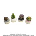 thumbnail image 3 of Planta Artificial Mainstays con Maceta Bicolor Varios Modelos 1 pza, 3 of 3