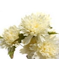 thumbnail image 2 of Ramo De Flores Artificiales Mainstays Sin Maceta, Color Blanco, 2 of 4