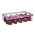 thumbnail image 3 of Calavera La Regia de chocolate #2, 10 pzas, 3 of 4