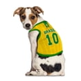 thumbnail image 1 of Disfraz para Perro Pikkys Fantasy Ruz Playera Brasil 10 Talla Chica, 1 of 3
