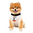 thumbnail image 1 of Pañuelo para Perro Pikkys Fantasy Ruz Alemania 9 con Franjas Talla Grande, 1 of 3