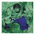 thumbnail image 3 of Playera Marvel Talla 4 Casual Manga Corta con Estampado Hulk Verde, 3 of 3