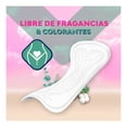 thumbnail image 4 of Protectores diarios Saba v-organic regular 40 pzas, 4 of 4