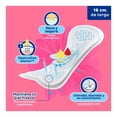 thumbnail image 2 of Panti protectores Tena Lady Discret largos 20 pzas, 2 of 4