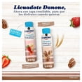 thumbnail image 3 of Licuado Danone nuez con cereales 450 g, 3 of 4