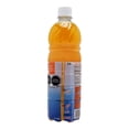 thumbnail image 3 of Concentrado para bebidas Tucán piña atrevida 750 ml, 3 of 4