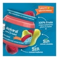 thumbnail image 4 of Alimento para lactantes Gerber sabores mexicanos pera y betabel 113 g, 4 of 4